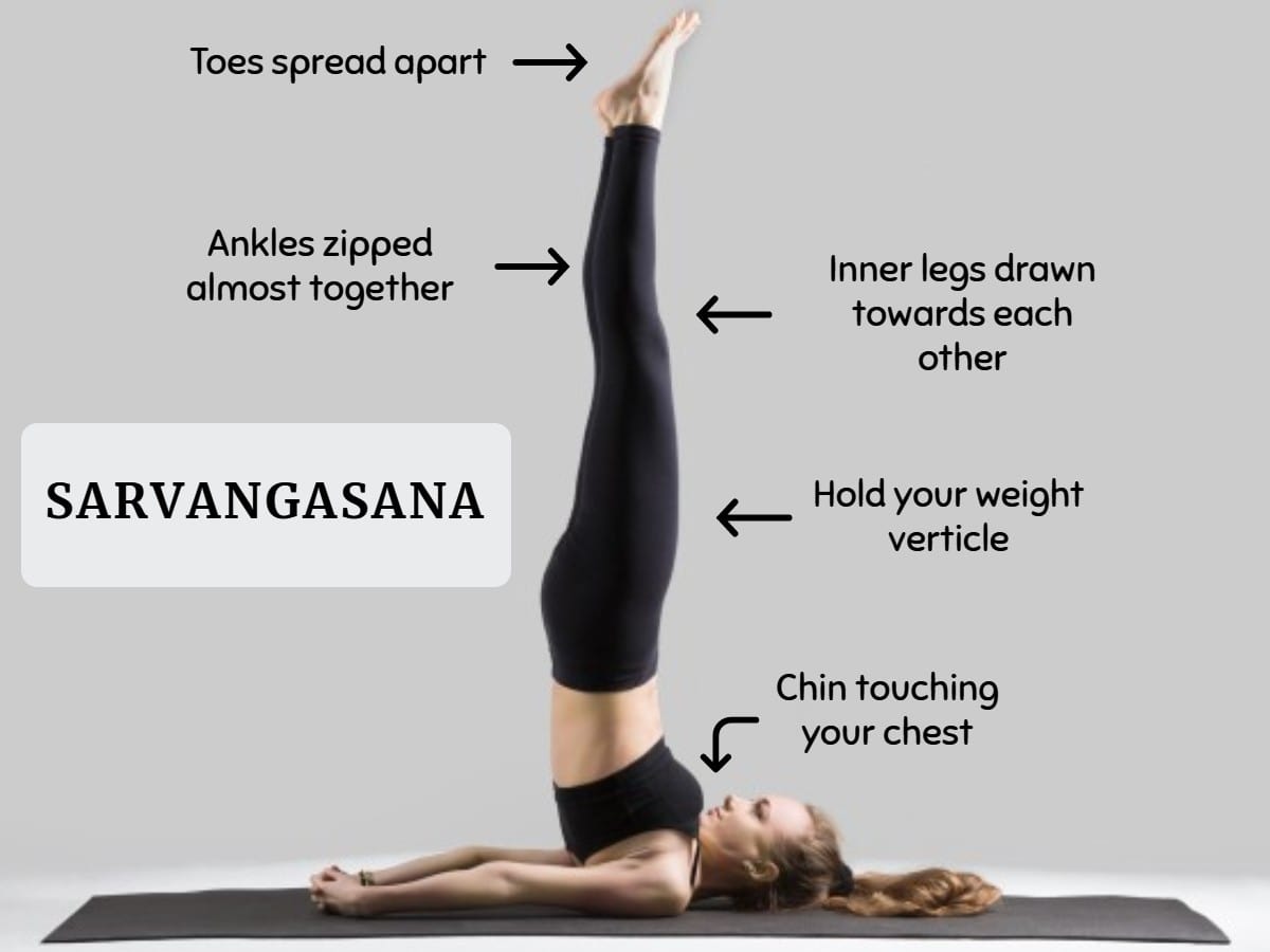Steps of Sarvangasana or the shoulder stand infograph